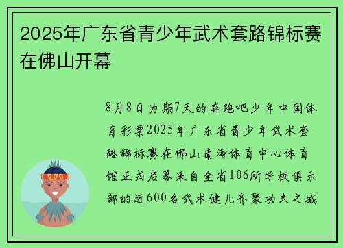 2025年广东省青少年武术套路锦标赛在佛山开幕